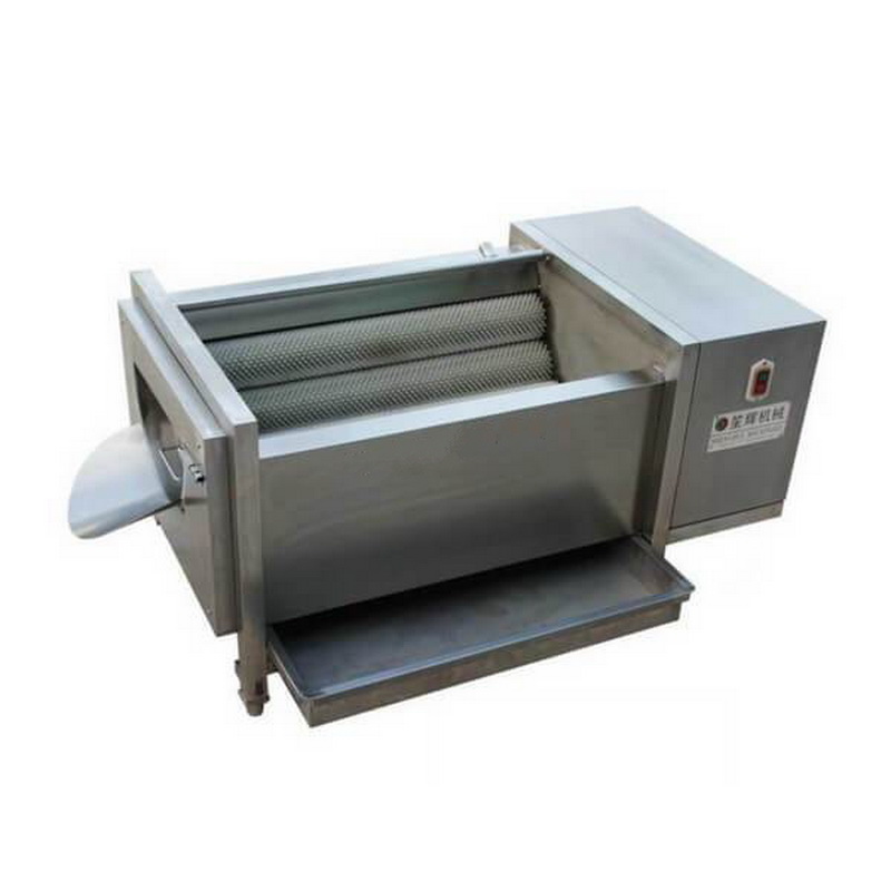 QX-818 Pengkupas dan Pencuci Buah