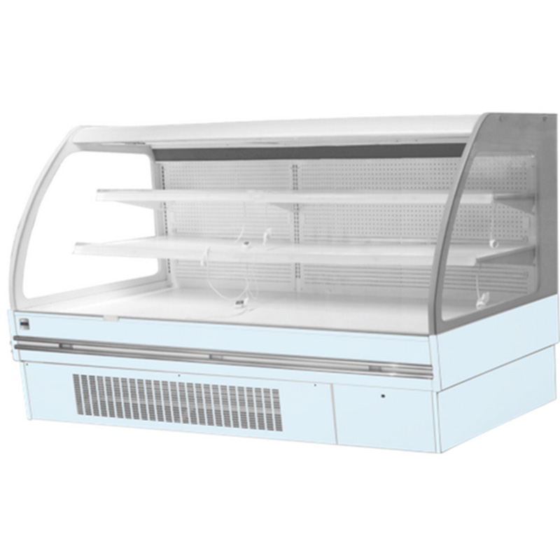 ANGELICA-250 Cabinet Refrigerator