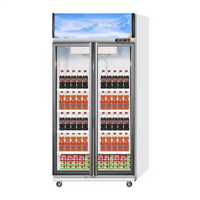 EXPO-600AH/CN Display Cooler